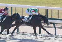 カレイジャスビート