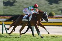 フェルミアーク