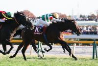 <strong>パントルナイーフ</strong>