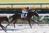 パラサイコロジー