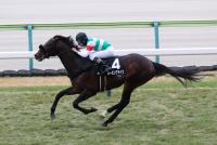 カーミングライツ