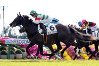 ヴィスコンテッサ