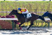 ジャスティンダラス