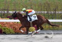 ヴァンアグレアブル