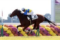 エアビーアゲイル