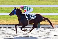 クラックショット