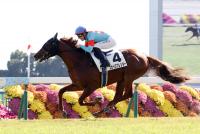 スカイスプレンダー