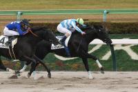 ヴァナルガンド