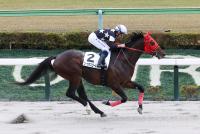 コーカサスゴールド