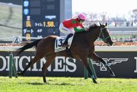 ファムクラジューズ