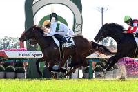 トミーバローズ