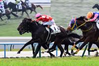 レッドリガーレ