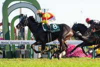 <strong>ジャスティンビスタ</strong>