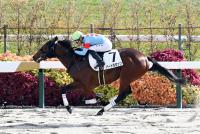 バートラガッツ