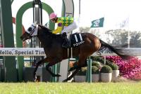 マーゴットラヴミー