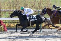 ドゥラエテルノ