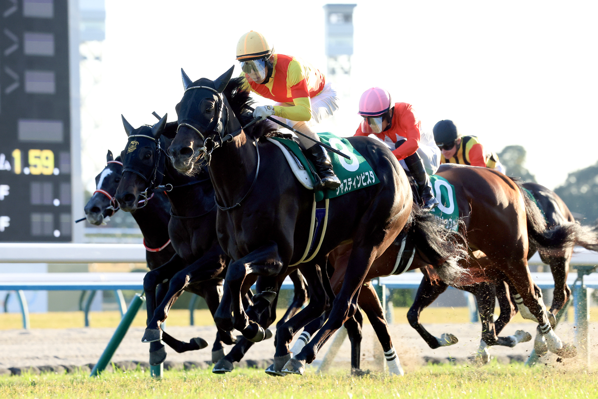 残り100ｍを過ぎて外めを鋭く追い込んだジャスティンビスタが、アスクエジンバラに１馬身差を付けた