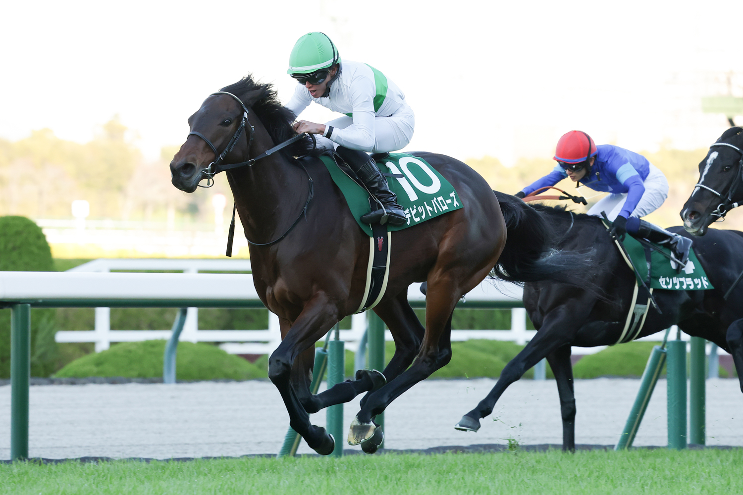 ４番手を楽に追走したデビットバローズが直線抜け出し、センツブラッドに２馬身差を付けた