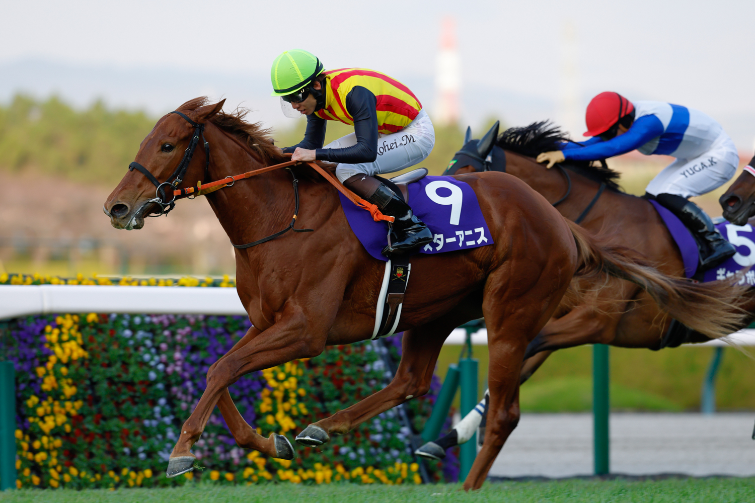 ８番手から鮮やかに差し切ったスターアニスが、後方から追い込むギャラボーグに１馬身1/4差を付けた