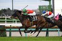 マイネルオーシャン