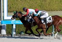 タイニーワンダー