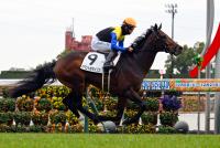 イベントホライゾン