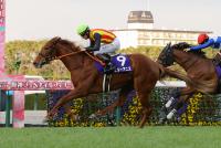 <strong>スターアニス</strong>