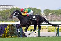 エコロディノス