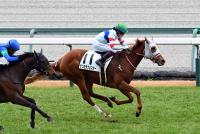 テンミラクルスター