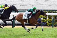 グレーヌドジョワ