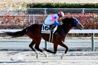 キョウエイカンセ