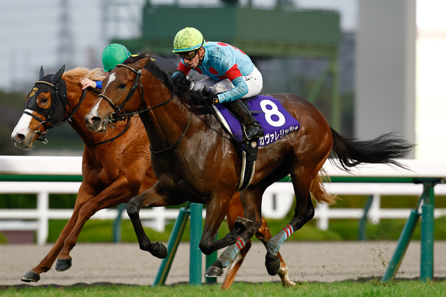 逃げたダイヤモンドノットを、ゴール直前鋭く差し切ったカヴァレリッツォ