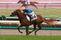 ミスターライト