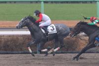 ヘルメスギャング