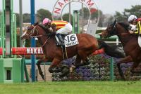 ロデオドライブ