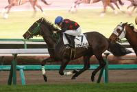 メタルスピード