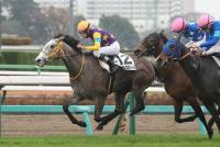 ロンギングセリーヌ