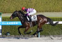 ゴールデンバランス