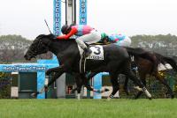 エイズルブルーム