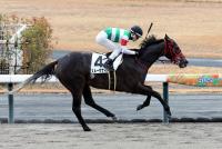 スルーザナイト