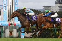 <strong>カヴァレリッツォ</strong>