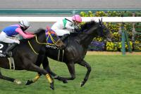 リチャードバローズ