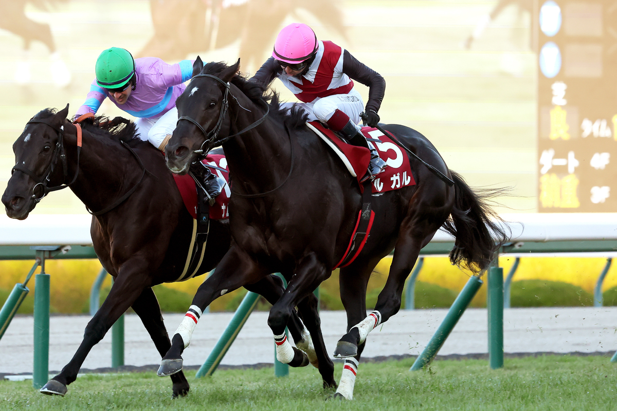 ナムラクレアとの競り合いをハナ差制して、2024年スプリンターズＳ以来１年３カ月ぶりの勝ち星を手にしたルガル