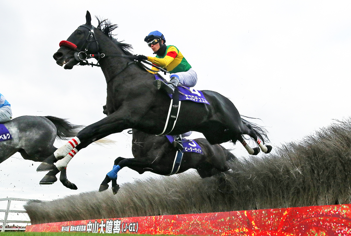 同一年に中山グランドジャンプと中山大障害を制したのはアップトゥデイト、オジュウチョウサンに続き３頭目(４回目)