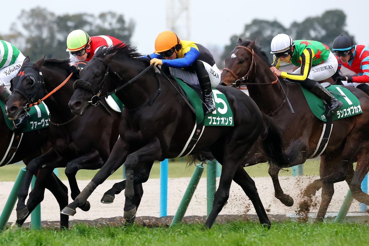  金子真人ホールディングス(株)は2025年京王杯２歳Ｓ以来のＪＲＡ重賞勝利で通算122勝目(金子真人氏名義を含む)。