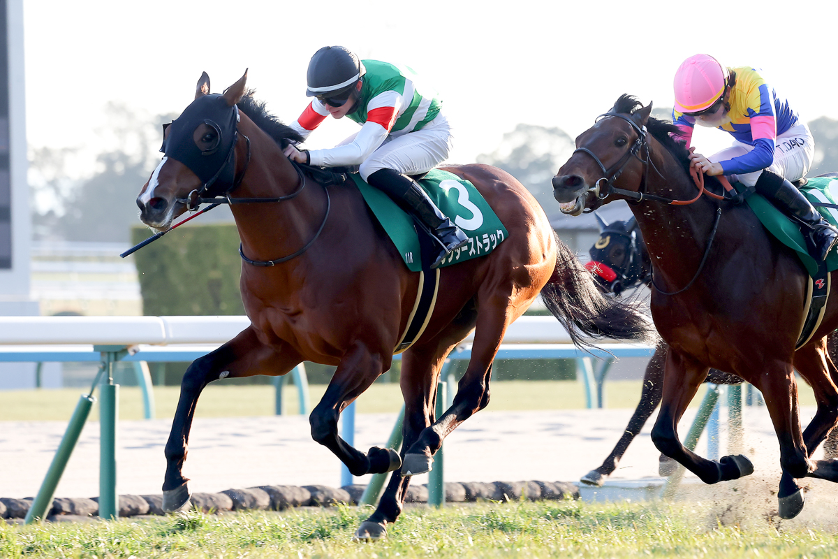 母は2018年シャンペインＳ(豪Ｇ１)勝ち馬シーブルック。クラシック戦線での活躍が非常に楽しみになった