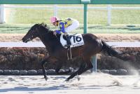 ムーンブランシュ