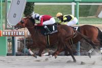 プルナチャンドラ