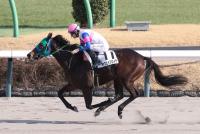 キョウエイフロイデ