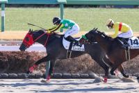 スノースコール